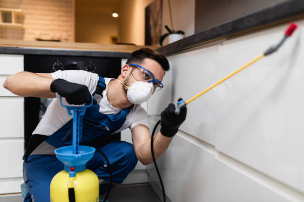 Best Cockroach Control Services  in Oakland, MO