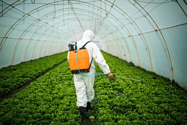Reliable Oakland, MO Pest Control Solutions