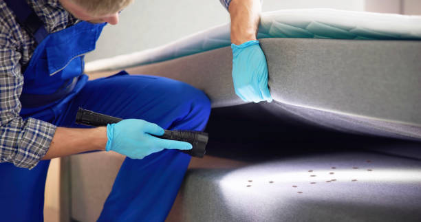 Best Cockroach Control Services  in Oakland, MO