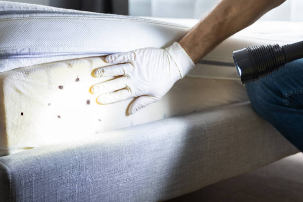 Best Pest Control Near Me  in Oakland, MO
