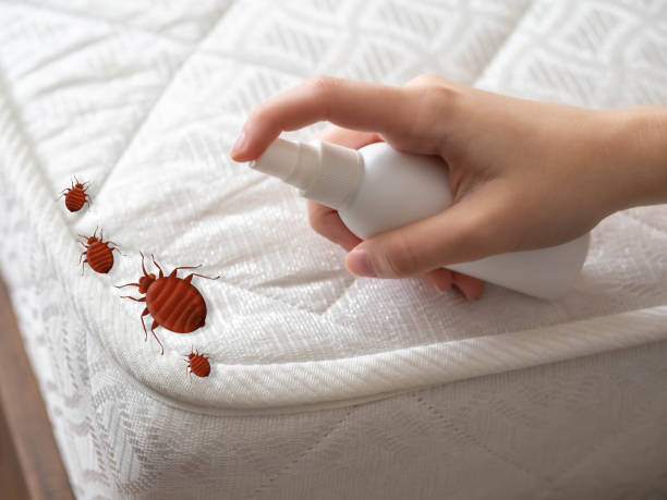 Best Flea Control Services  in Oakland, MO