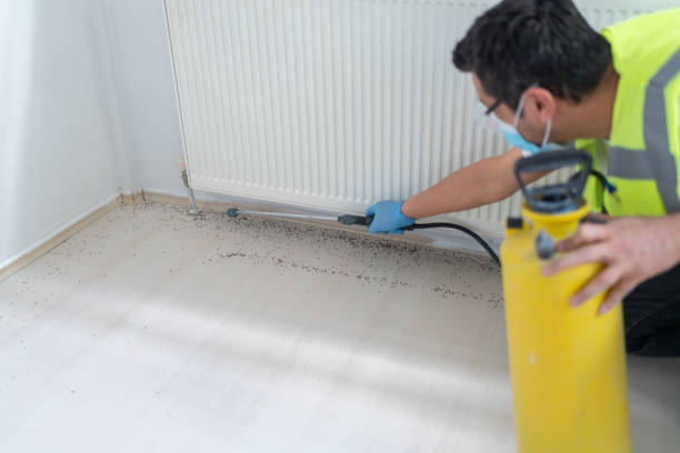 Best Affordable Pest Control Services  in Oakland, MO