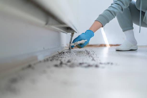 Best Insect Control  in Oakland, MO