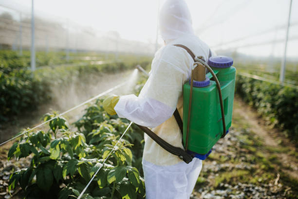 Pest Prevention Services in Oakland, MO
